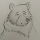 pencil drawing of a bear